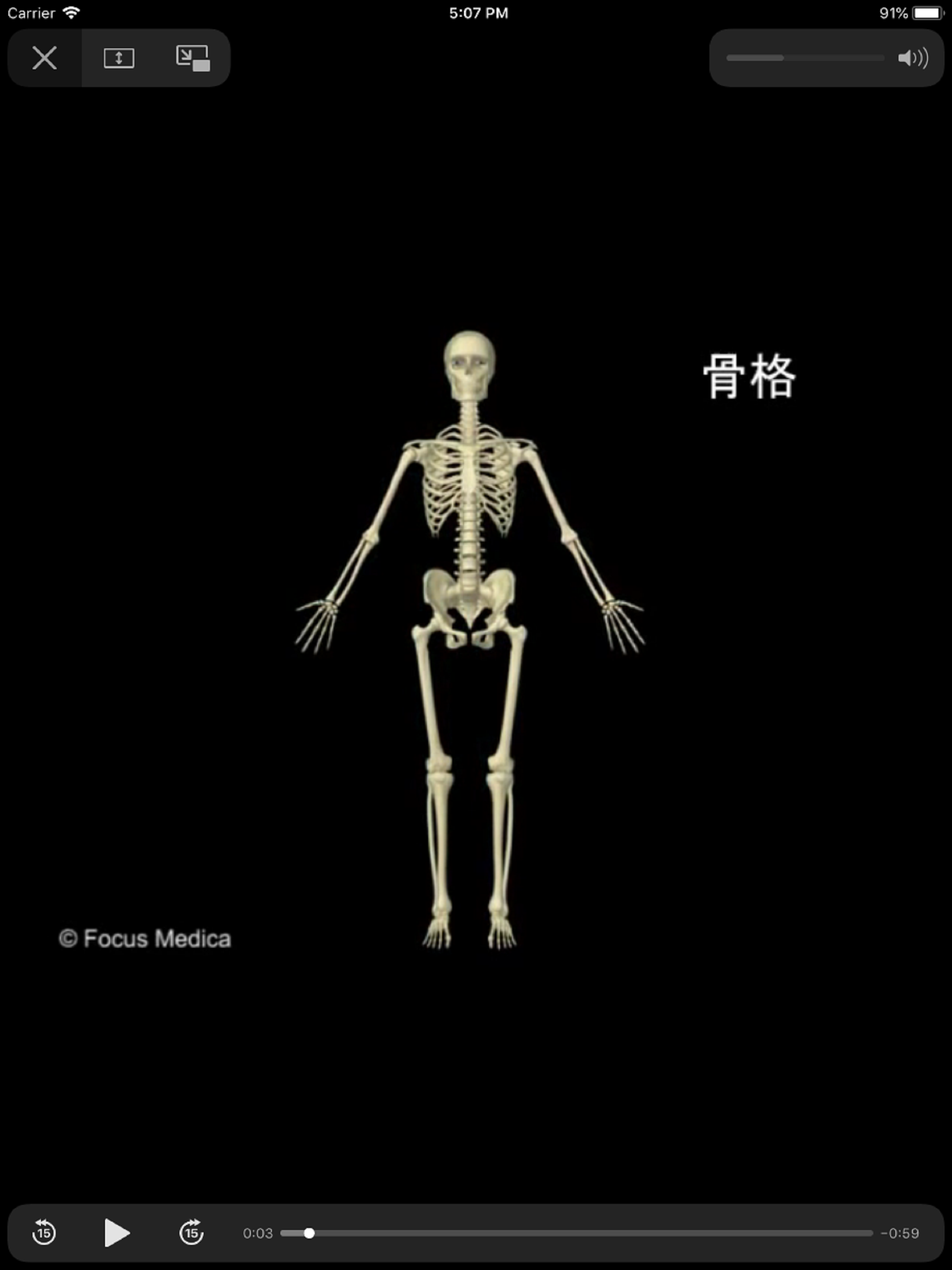 解剖学アトラス