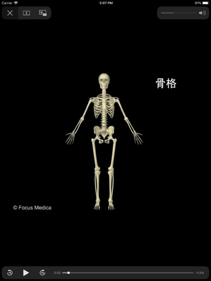 解剖学アトラス