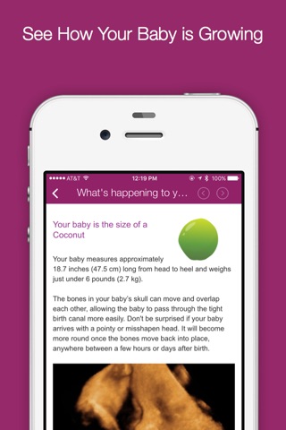 I'm Expecting Pregnancy App screenshot 3