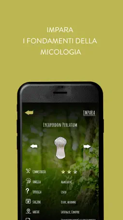 iMico screenshot 1