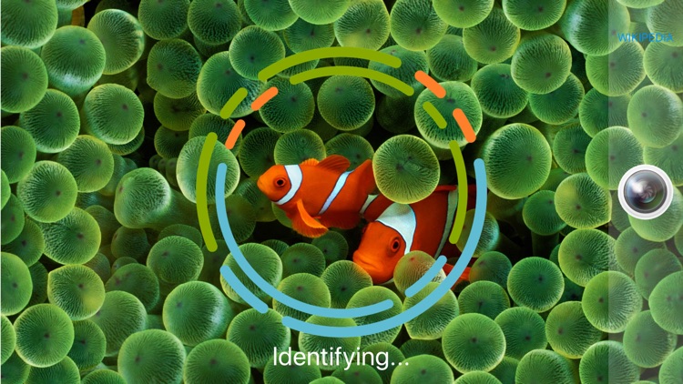 FishSnap - Fish Identification
