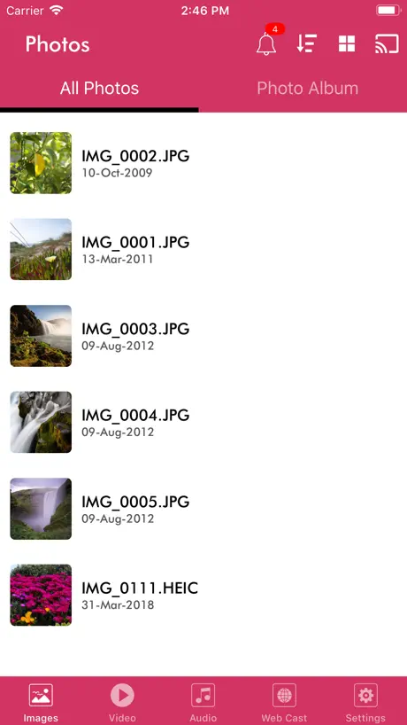 Journaux de Shelfy
