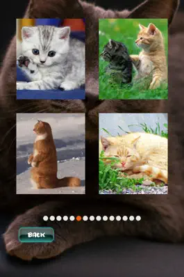 Game screenshot Пазлы с Кошками apk