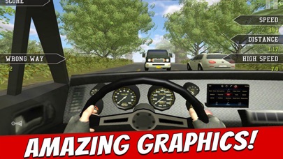 Traffic Driver Car Pro screenshot 3