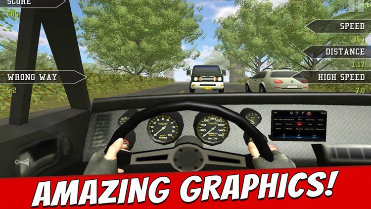 Traffic Driver Car Pro