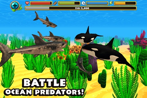 Wildlife Simulator: Sharkのおすすめ画像3