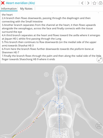 Visual Acupuncture 3Dのおすすめ画像2