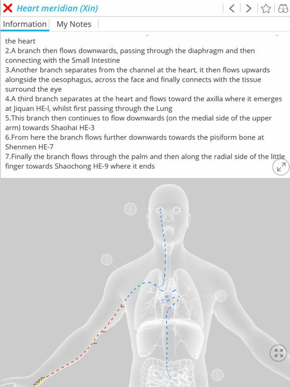 Visual Acupuncture 3Dのおすすめ画像2