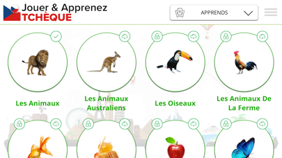 Screenshot #2 pour Jouez et apprenez TCHÈQUE
