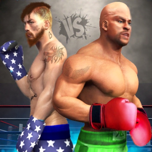 Boxing KO : The Career Boxer Icon