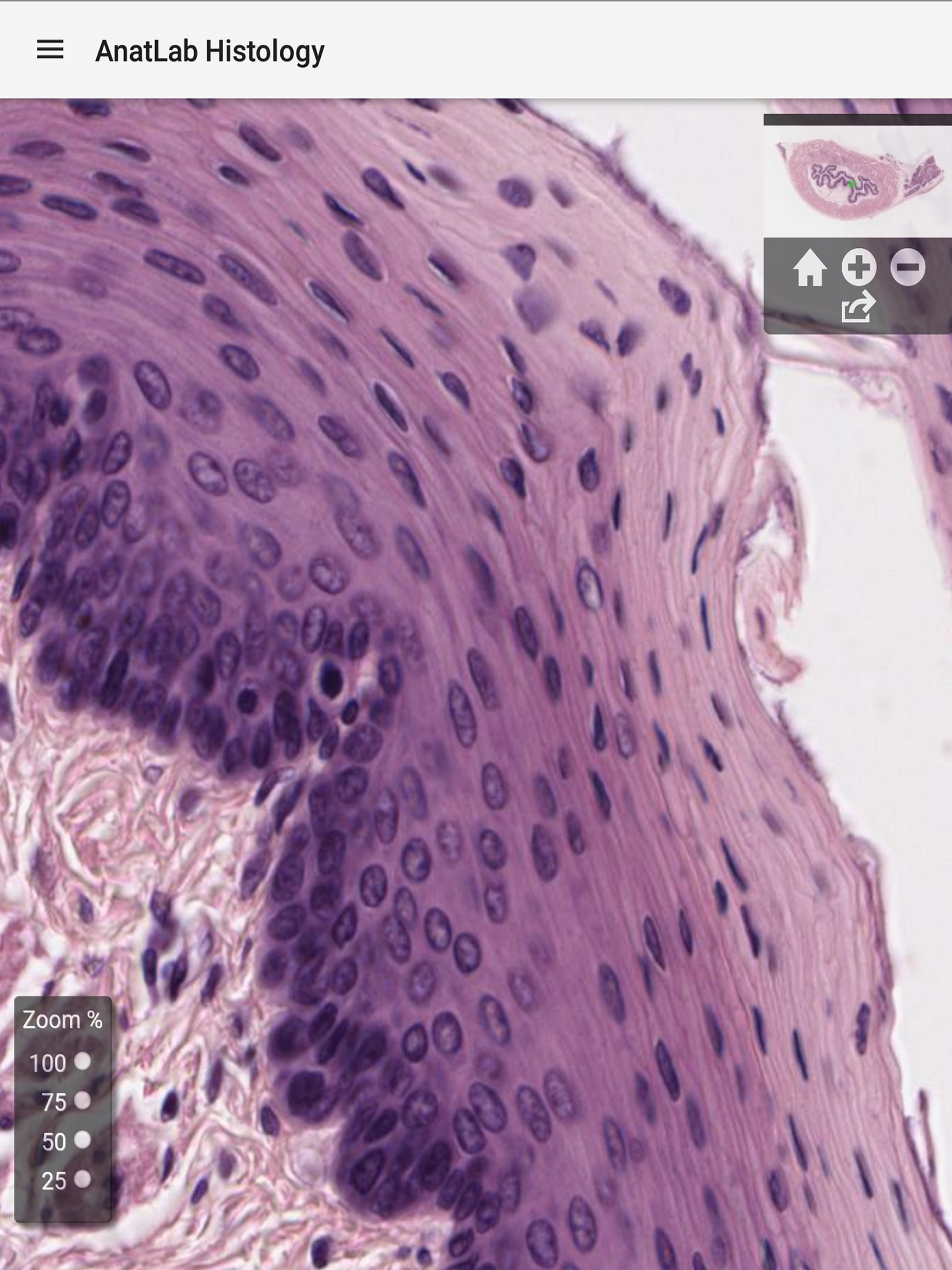 AnatLab Histology