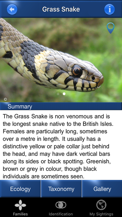 Screenshot #2 pour Reptile Id - UK Field Guide