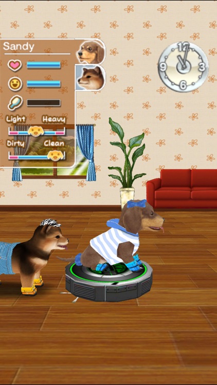 My Dog My Room screenshot-4