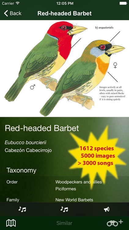 All Birds Ecuador field guide