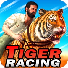 Activities of Tiger Racing : Simulator Race