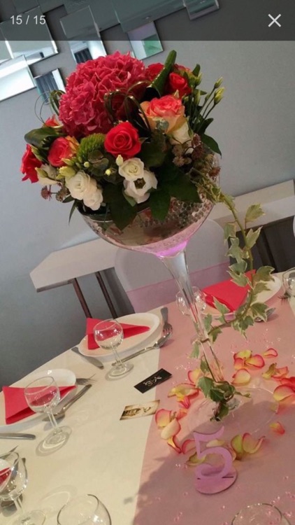 Aimer Les Sens Des Fleurs