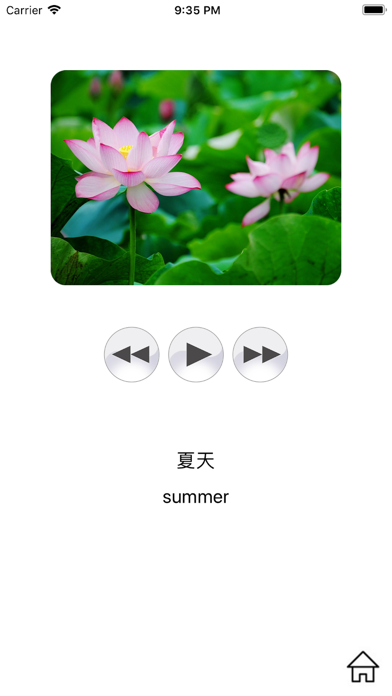Pure Chinese - Learn Chinese Screenshot