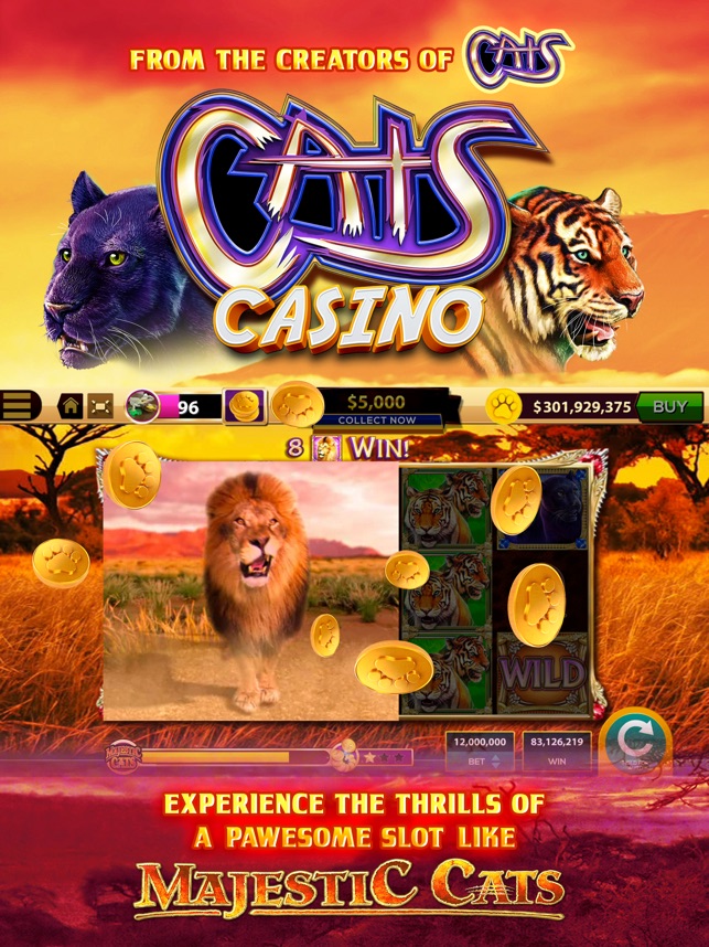 CATS Casino – Real Hit Slot Ma – Apps no Google Play