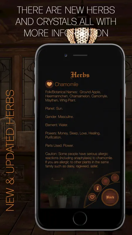 Book of Shadows screenshot 3 of 5