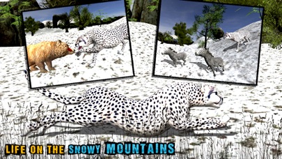 野生 雪 ヒョウ シミュレータのスクリーンショット1 野生 雪 ヒョウ シミュレータのスクリーンショット1