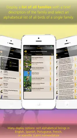Game screenshot The Birds of Colombia hack