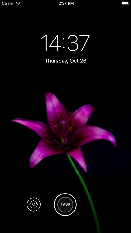 Live Animated Wallpaper for Me