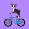 Animated Black Boston Terrier