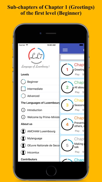 Languages of Luxembourg 7 screenshot 3