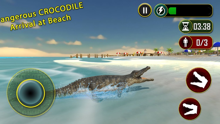 Wild Crocodile Beach Attack