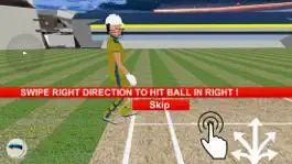 Game screenshot Super Cricket Championship apk