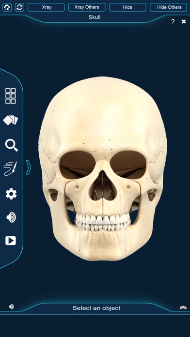 My Skull Anatomy screenshot 2