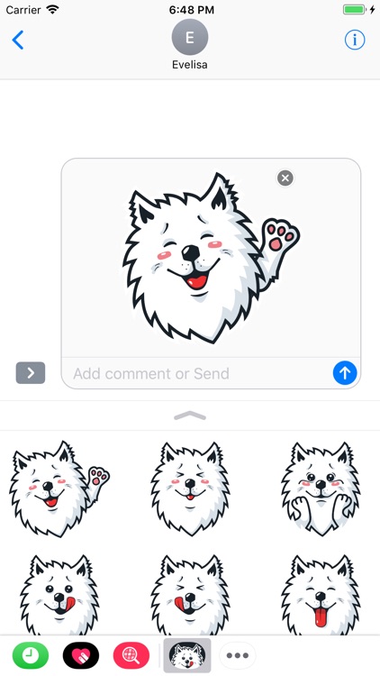 Samoyed Fram