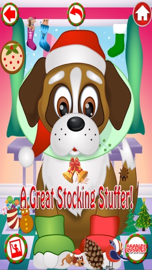Christmas Pet Vet Santa Doctor(圖4)-速報App