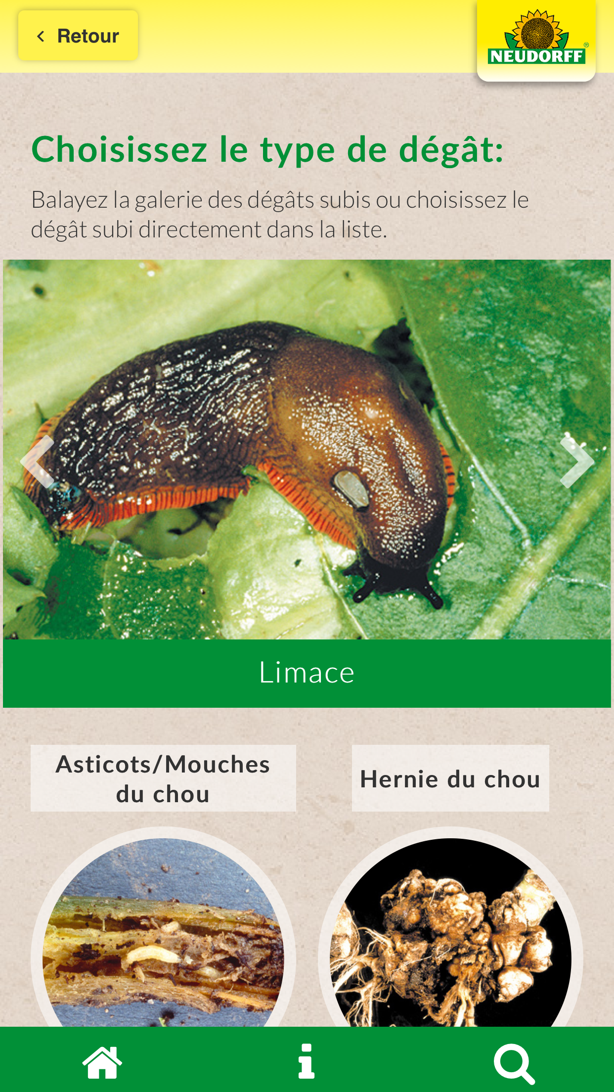 Docteur des plantes