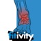 This app includes multuple physical therapy programs for the ankle, knee, shoulders, back, elbow, achilles, hamstring and foot