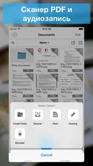 file manager 11 айфон картинки 3