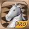 Chess Prime 3D is one of the best designed 3D chess games for the iPad / iPhone