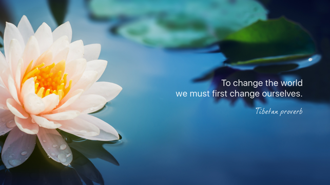 Wisdom of Buddha(圖3)-速報App