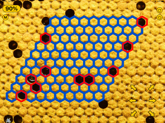BeeVTool: Beekeeper Honey Toolのおすすめ画像2