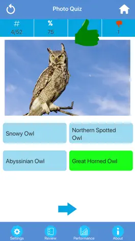 Game screenshot Animals : Wild Birds Quiz apk