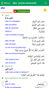 Dictionnaire d'arabe Larousse screenshot
