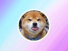 Cool Akita-Inu! Stickers