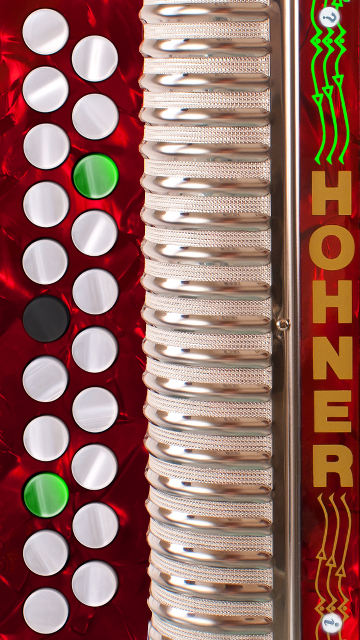 Hohner B/C Mini-Accordion