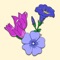 Plan your perennial garden before digging an ounce of dirt