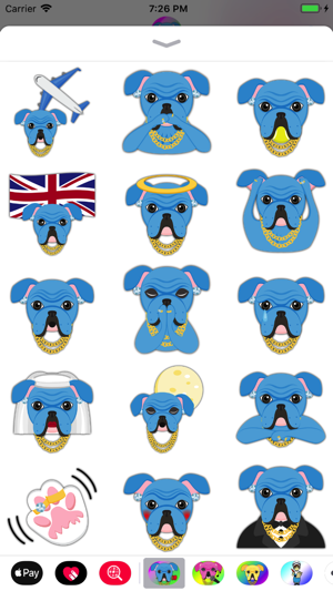 Blue Bling Hip Hop Bulldog(圖2)-速報App