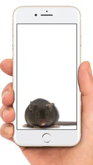 mouse on screen scary joke iphone screenshot 1