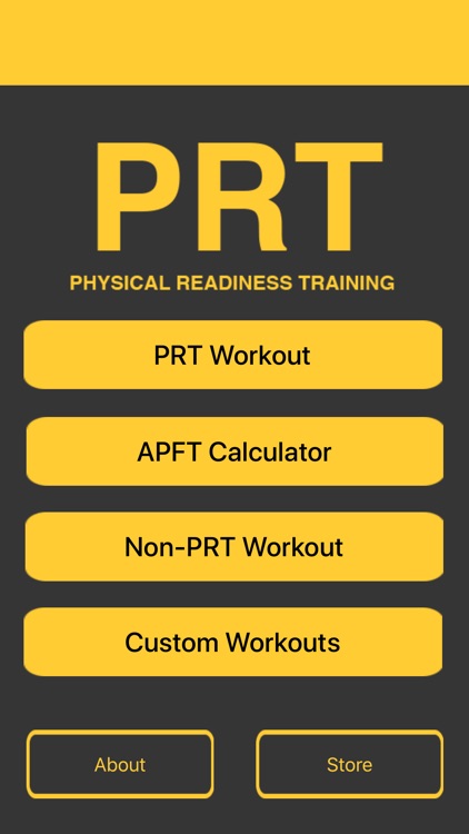 PRT: An Army Workout