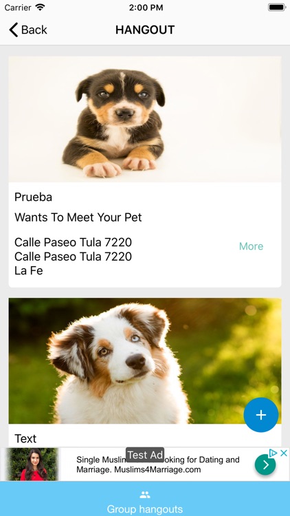 PawBuddy screenshot-7