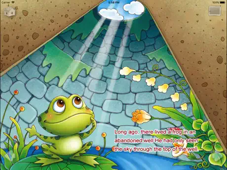 A Frog Under the Well