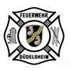 FFW Düdelsheim